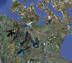 several tracks across tundra