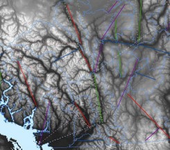 echotrack migration corridors DEMs and cardinality