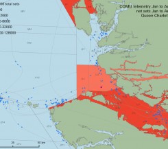COMU-telemetry-2006-jan2aug-QC-Strait-1292