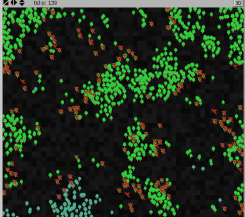 borneoscreenshot-larger