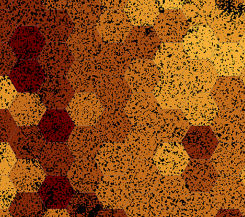 patches-vs-shape-646