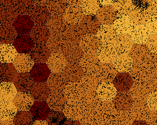patches-vs-shape-646