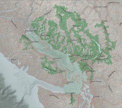 suzuki-watersheds1